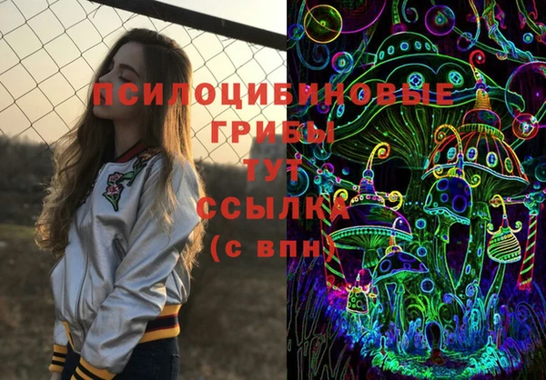 MDMA Богородицк